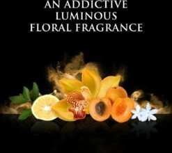 Beyonce Rise - 100ml - Eau De Parfum -Cosmetica Winkel 1200x1068