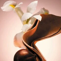 Hugo Boss The Scent Le Parfum Eau De Parfum 100 Ml -Cosmetica Winkel 1200x1200 284