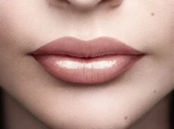 L'Oréal Paris Color Riche Shine Lippenstift - 658 Topless 13 L'Oréal Paris Color Riche Shine Lippenstift - 658 Topless -Cosmetica Winkel 1200x895