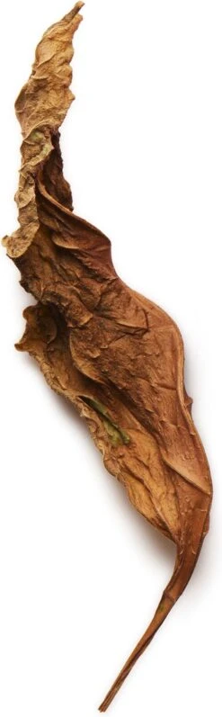 Giorgio Armani Acqua Di Gio Absolu 75ml - Eau De Parfum - Herenparfum -Cosmetica Winkel 372x1200