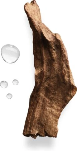 Giorgio Armani Acqua Di Gio Absolu 75ml - Eau De Parfum - Herenparfum -Cosmetica Winkel 616x1200